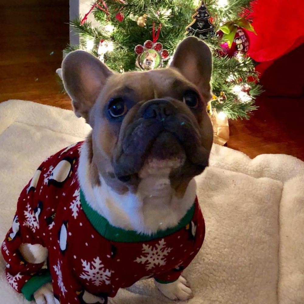 Meet your Posher, Gina